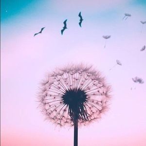 Meet your Posher, Ashlee